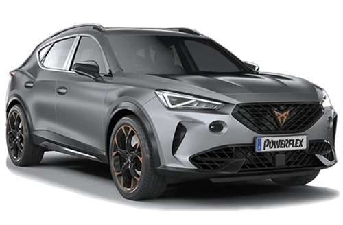 Formentor 2WD (2020 on)
