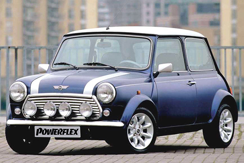 Rover Mini