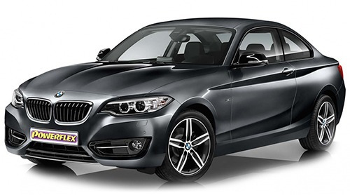 F22, F23 (2013 - 2021)