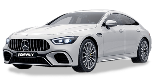 AMG GT X290 (2018- )