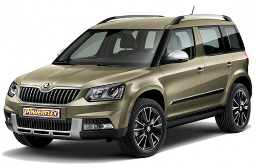 Yeti 2009- Yeti 2009-