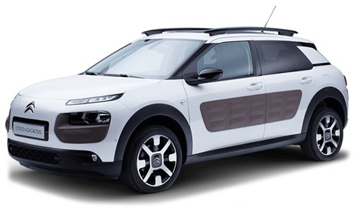 C4 Cactus (2014 - ON)