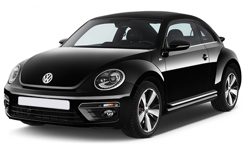 Beetle 2011-