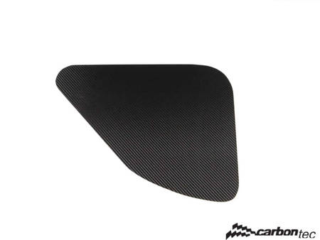 Carbon door panels Renault Clio 197/200