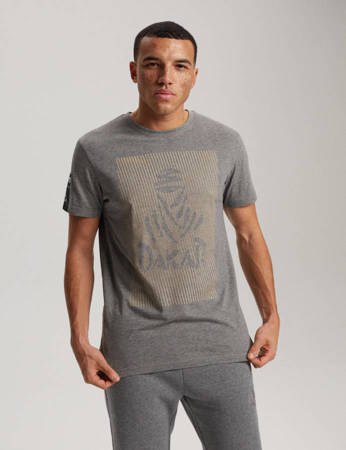 DKR T-shirt D 0823 Gray Melange