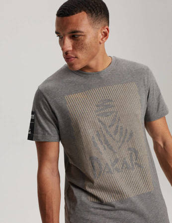 DKR T-shirt D 0823 Gray Melange