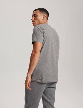 DKR T-shirt D 0823 Gray Melange