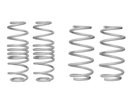 Ford Fiesta Mk7 Coil Springs - lowered WSK-FRD002 WS WZ