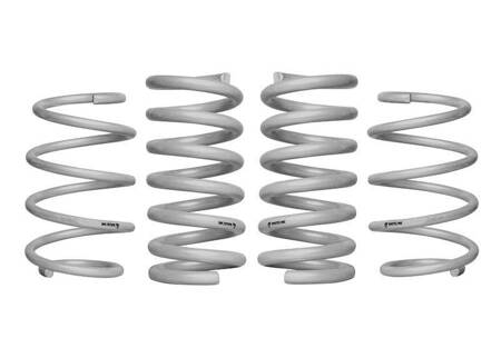 Ford Mustang S550 Coil Springs - Lowered WSK-FRD011