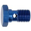 Banjo end screw