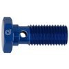 Banjo end screw