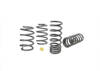 Coil Springs - lowered WSK-SUB008 Subaru Levorg VM Impreza WRX