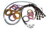 Haltech Nexus R5 Basic Universal Wire-In harness - 2.5M (8')