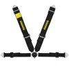 Schroth Clubman II belts asm