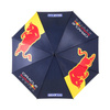 Sparco Oracle Red Bull Umbrella Racing