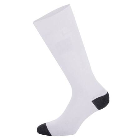 Alpinestars-Socken ZX V4