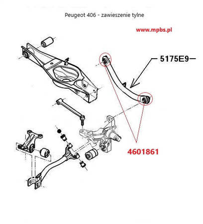 Hintere obere Querlenkerbuchse, innen und extern - MPBS: 4601861 Peugeot 406,