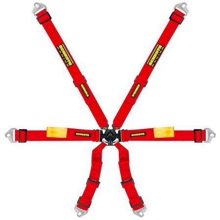 Schroth Enduro 2x2 Riemen