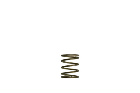 Turbosmart Wastegates vožtuvas Gen-V WG45/50 3psi Orange Inner Spring