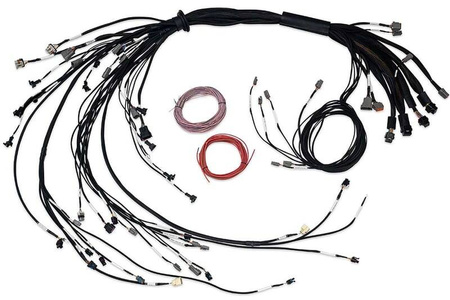 „Haltech Nexus R5 LSx“ ne DBW laidai