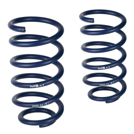 H&R Lowering springs Mitsubishi Pajero 