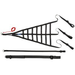 Sparco racing window netting