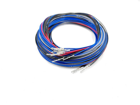 Wiązka znakowana do ECUMASTER EMU PRO-8