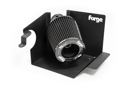 Ford Fiesta ST MK8/Ford Puma ST Įsiurbimo Komplektas