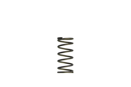Turbosmart Wastegates vožtuvas Gen-V WG60 5psi Purple Inner Spring