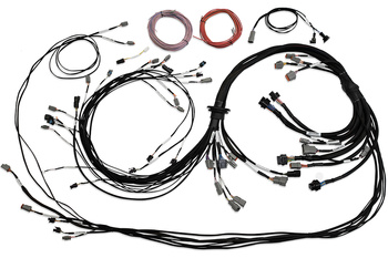 Haltech Uni V8 Term Engine Harness for Nexus R5 VCU - HT-186200