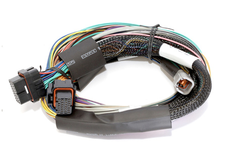 Haltech Elite 1500 - podstawowy uniwersalny zestaw przewodów 2,5 m (8') - HT-150902
