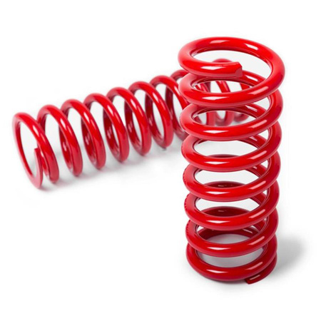 MTS Technik lowering springs Smart Cabrio (450) (450) 07/98 - 01/01