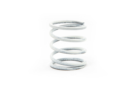 Dump Valve Spring (Single)