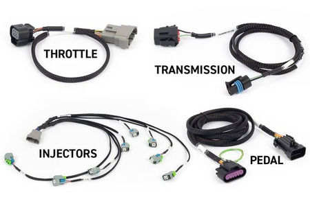 Haltech Komputer sterowania silnikiem ECU Nexus Rebel LS Gen IV do LS od GM