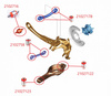 Podstawowy zestaw tulei zawieszenia tylnego - MPBS: 2102603-PZ Ford C-Max Mk1, Focus Mk1 ST, RS, Mk2, Mk2 Mk3, Mk3 Kuga I, Mazda 3 I BK, II BL, Volvo C30, S40 II, V50,RS