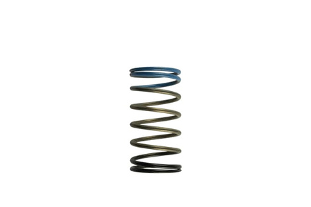 Sprężynka Turbosmart Wastegates WG50/60 0,689 bar (10PSI) BLK/BLU