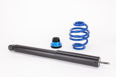 Coilovers AP Audi A6 4F Avant/2WD/Quattro