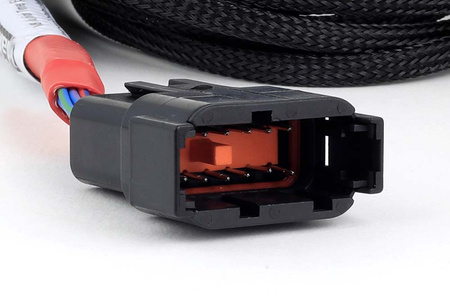 Haltech Nexus V8 Junior Timer (EV1)Antrinis purkštuvo pertraukiklis - HT-186001