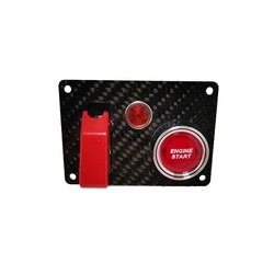 IRP carbon starter panel