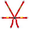 Schroth Enduro 2x2 Belts