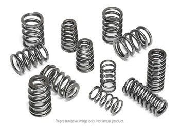 Supertech Valve Spring Set BMW S85