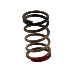 Turbosmart Wastegates Ventil GenV WG HP 40psi Spring (Black/Red)