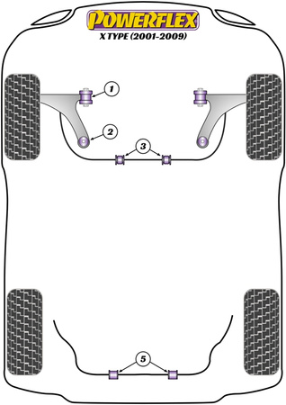 Front Arm Rear Bush, Caster Adjustable Powerflex Polyurethane Bush Road Series Jaguar (Daimler) X Type (2001 - 2009) PFF19-1302G