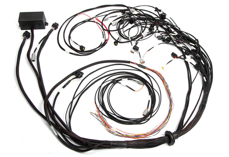 Haltech Elite 2500 Ford Falcon FG Barra 4.0 Term Harness - HT-141389