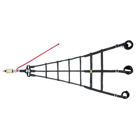 OMP racing window netting