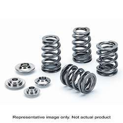 Supertech Ventilfedersatz Honda B16/B17/B18C