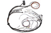 Haltech Elite 1000/1500 Maz 13B S4/5 Term Harn Only Fly ólom - HT-140875