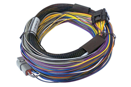 Haltech Elite 750 Basic Universal Wire-in Harness 2.5m (8')