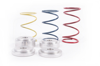 FMDVRAYV2 Federnsatz