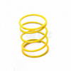 Dump Valve Spring (Single)